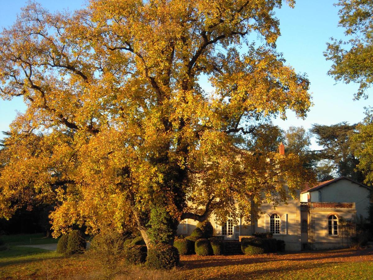 Domaine Des Roches Blanches Villa Le Pin  Luaran gambar