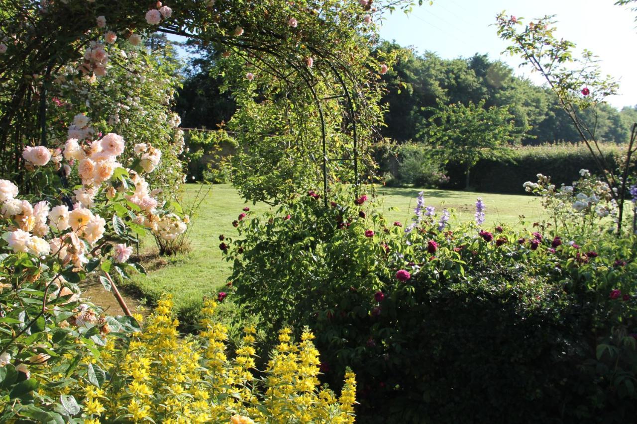 Domaine Des Roches Blanches Villa Le Pin  Luaran gambar