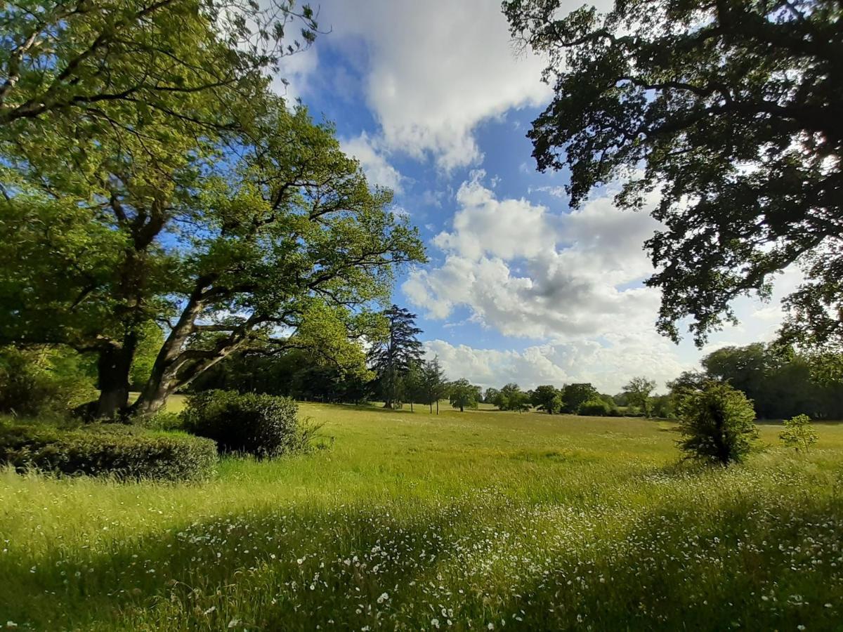 Domaine Des Roches Blanches Villa Le Pin  Luaran gambar