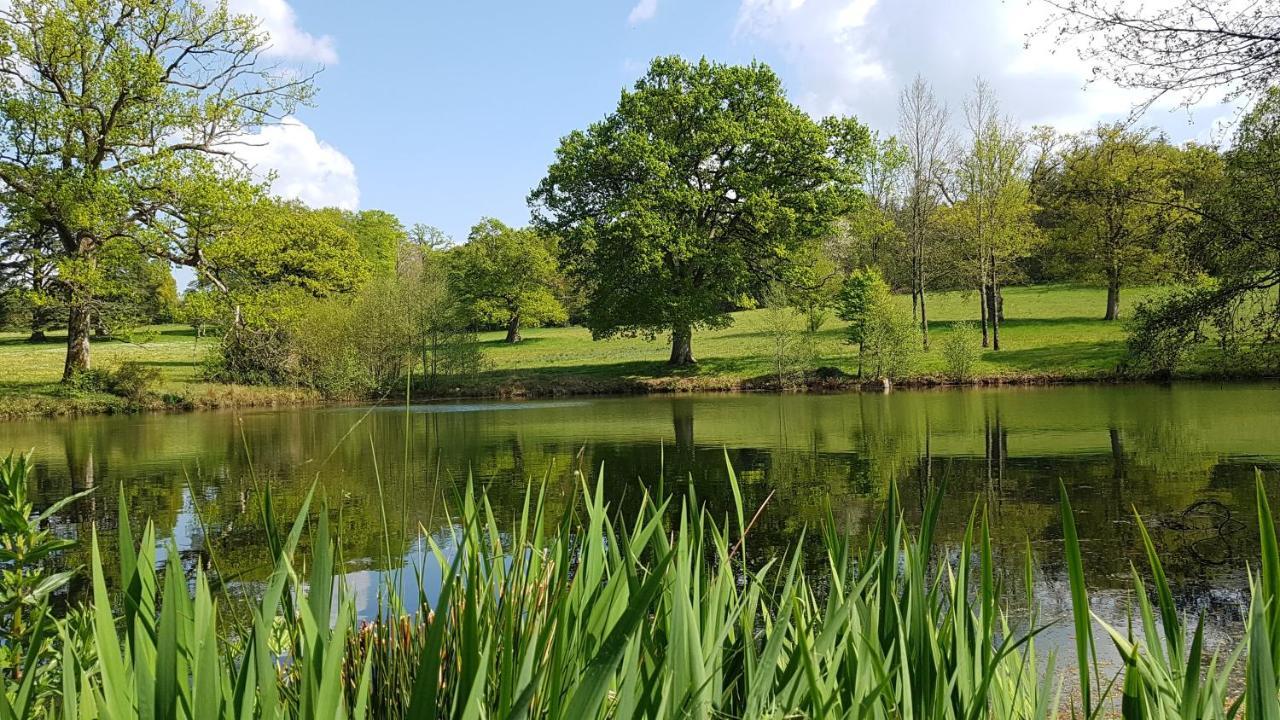 Domaine Des Roches Blanches Villa Le Pin  Luaran gambar
