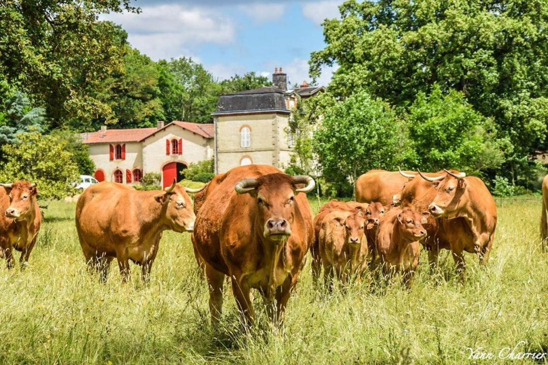 Domaine Des Roches Blanches Villa Le Pin  Luaran gambar