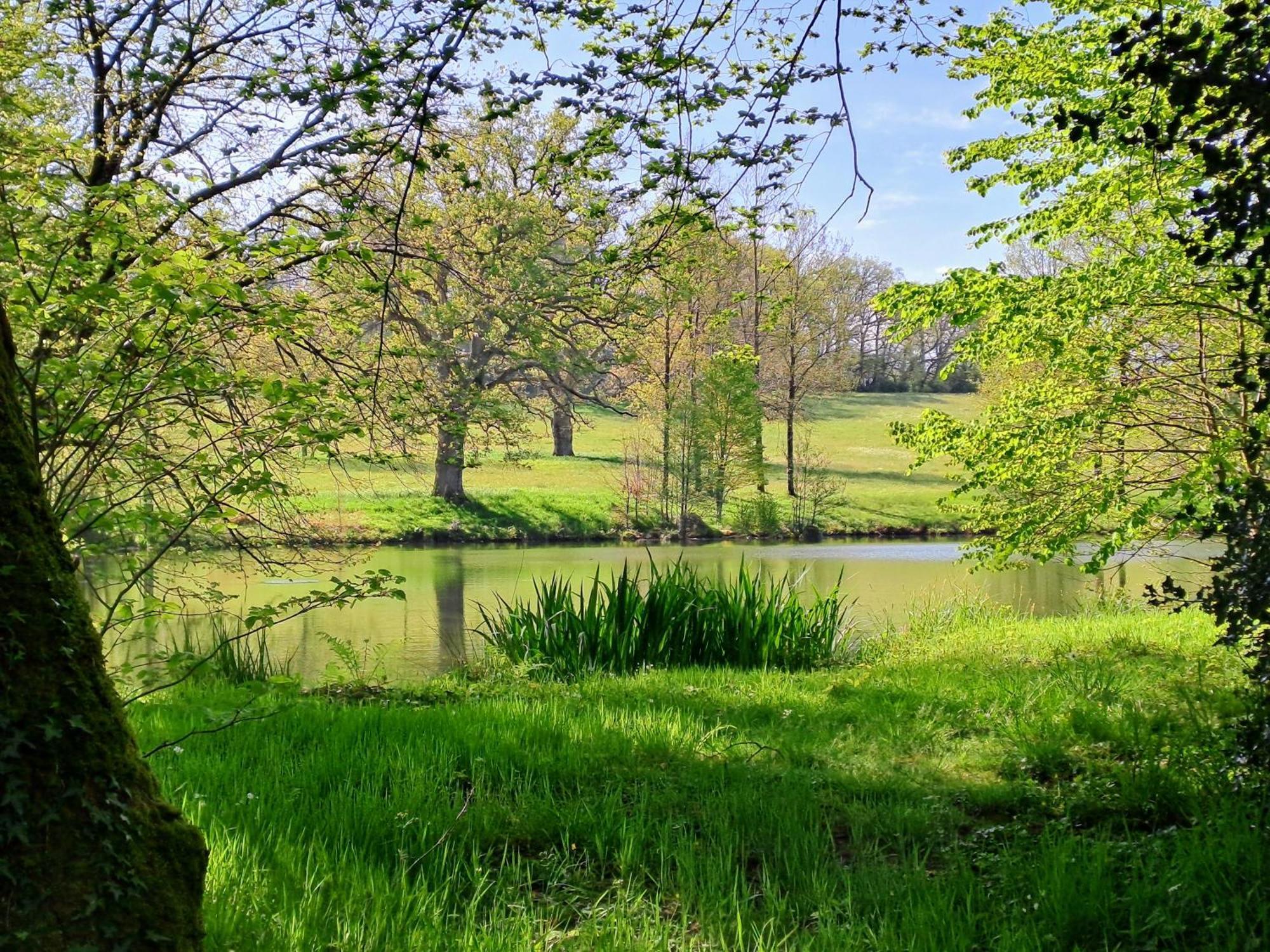 Domaine Des Roches Blanches Villa Le Pin  Luaran gambar