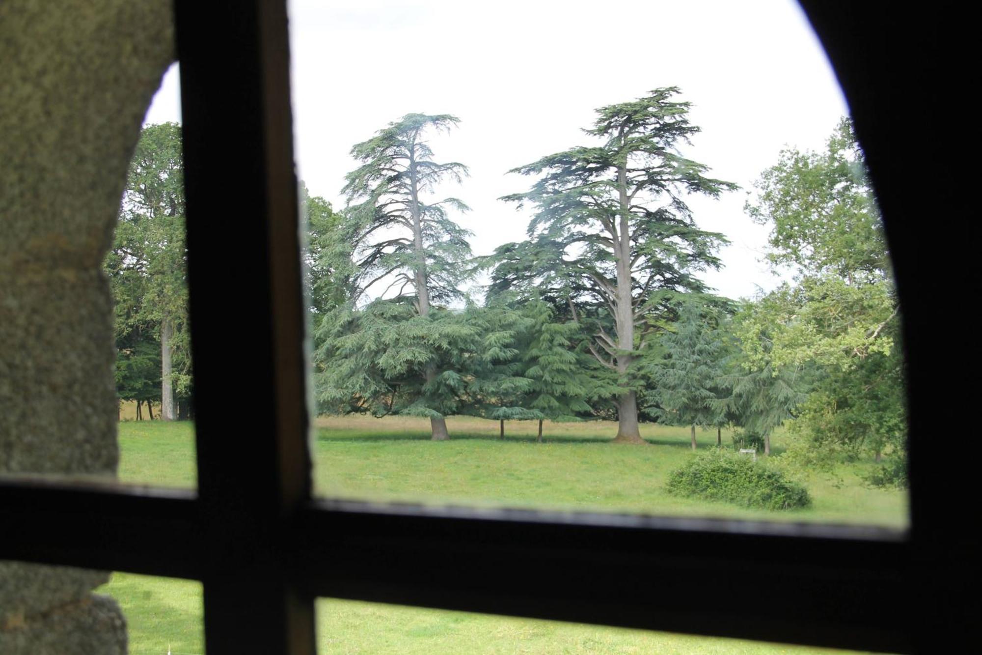Domaine Des Roches Blanches Villa Le Pin  Luaran gambar