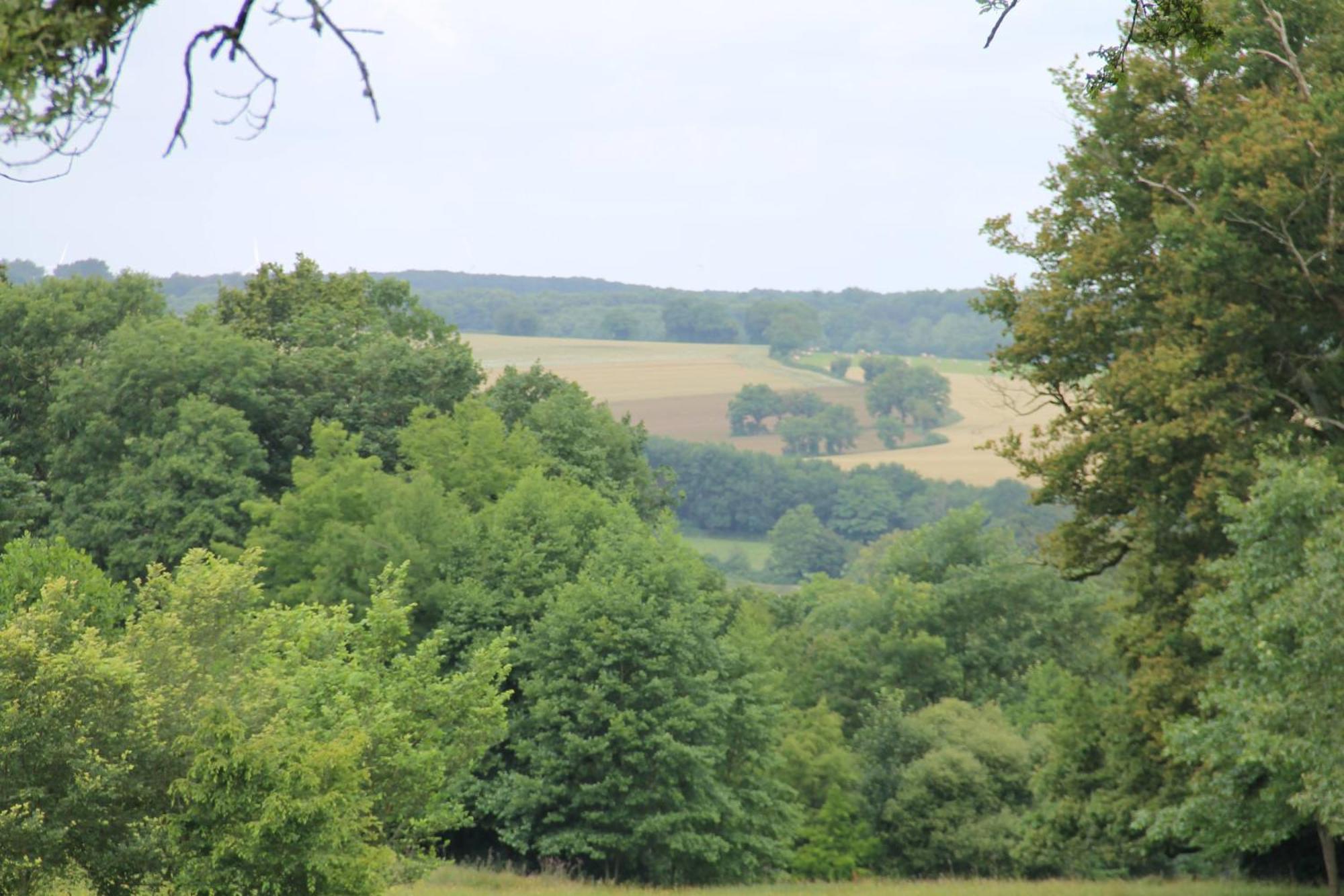 Domaine Des Roches Blanches Villa Le Pin  Luaran gambar