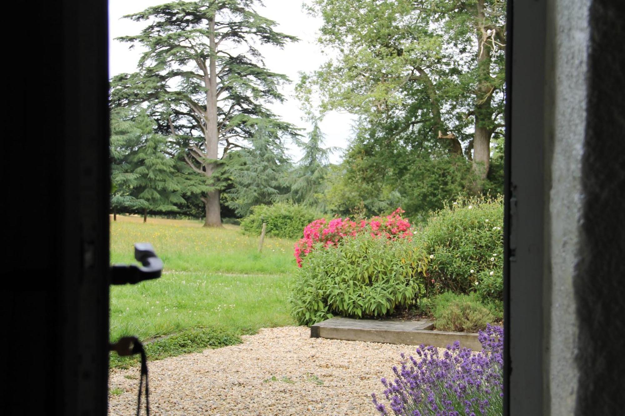 Domaine Des Roches Blanches Villa Le Pin  Luaran gambar