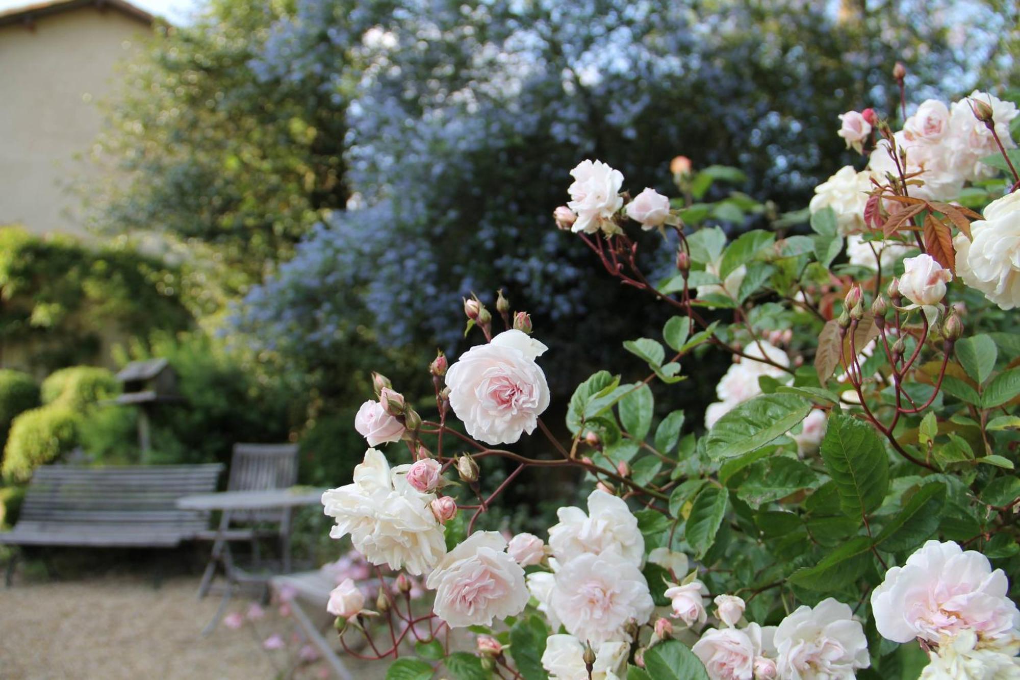 Domaine Des Roches Blanches Villa Le Pin  Luaran gambar
