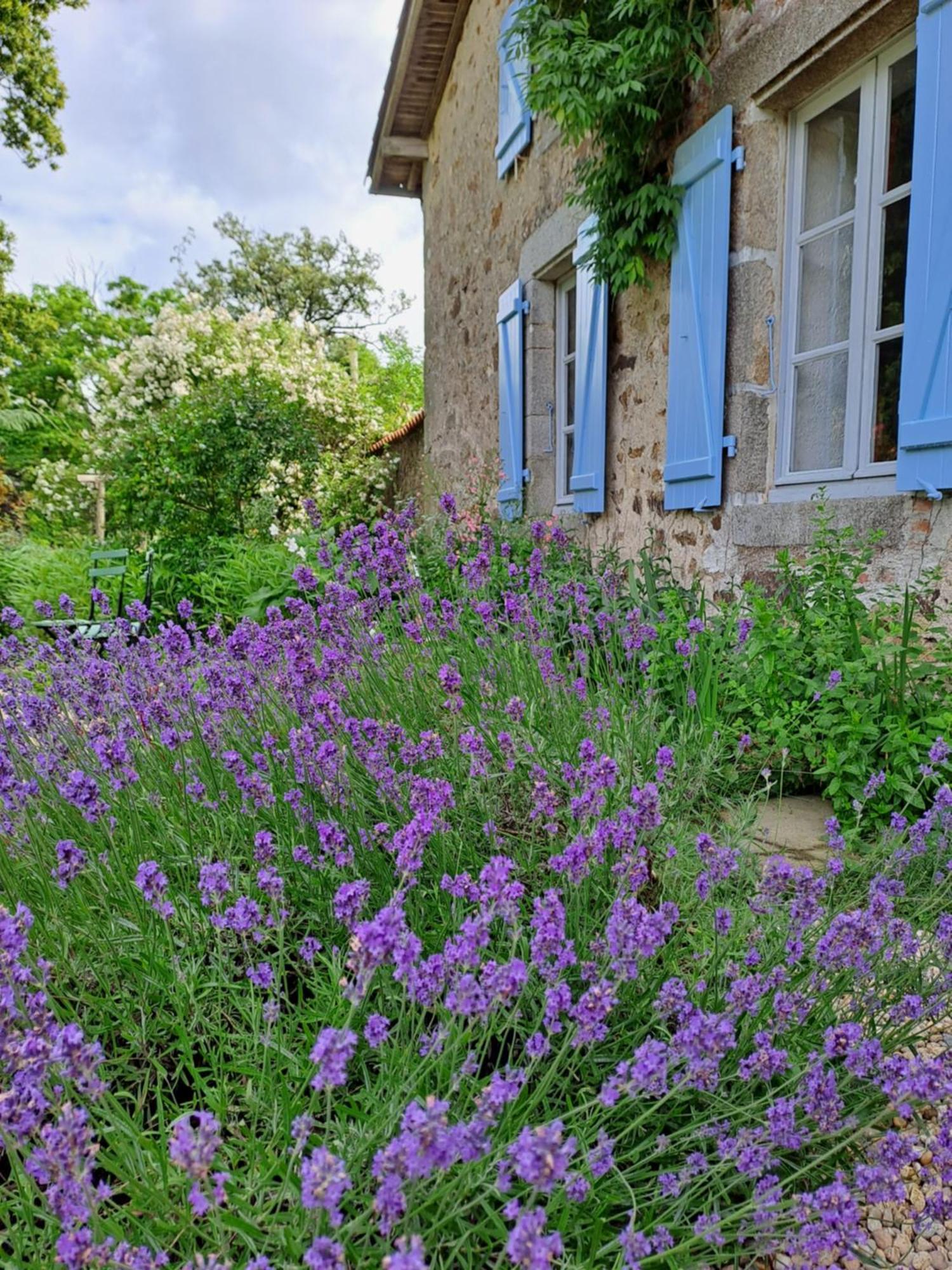 Domaine Des Roches Blanches Villa Le Pin  Luaran gambar