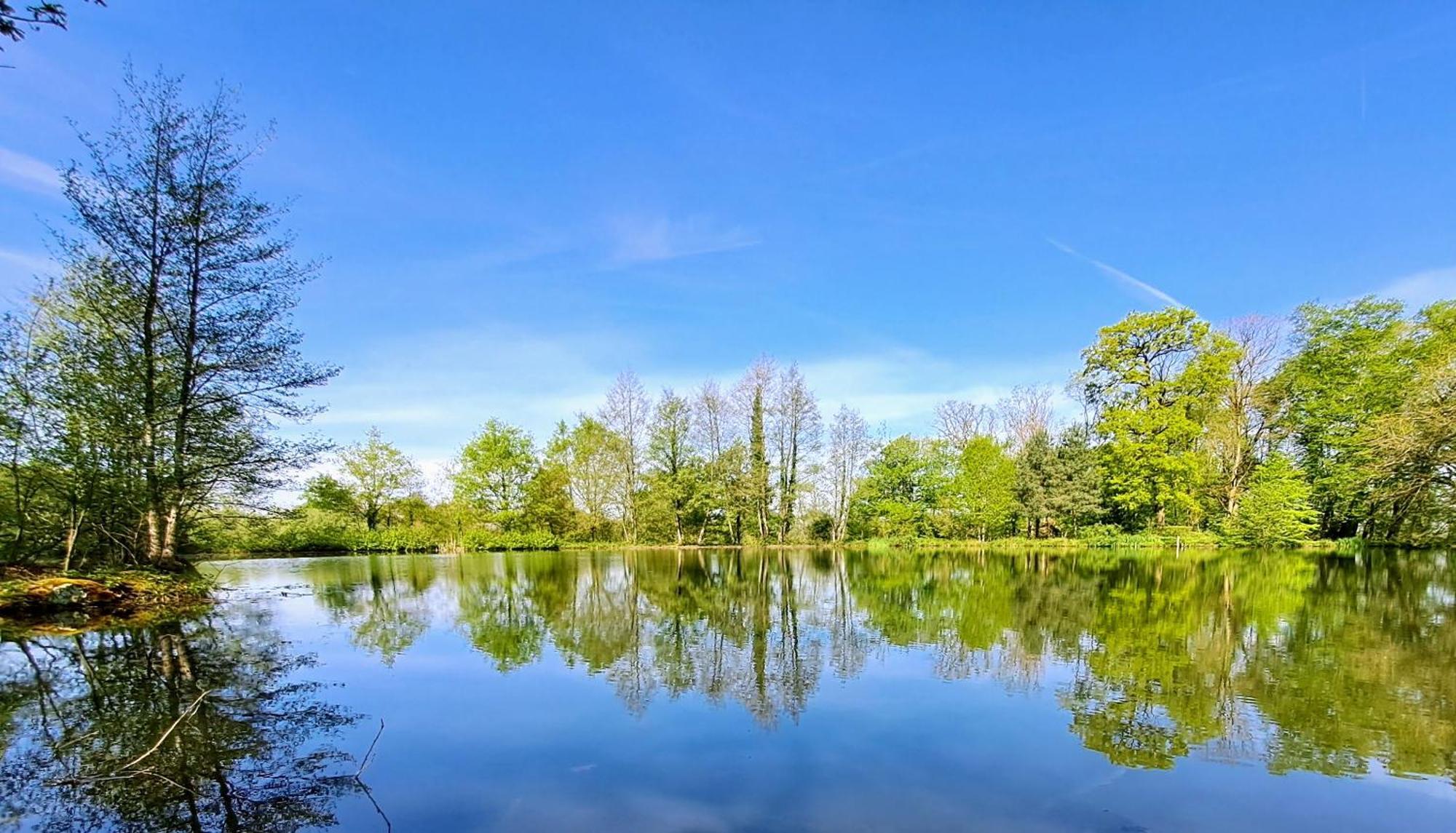 Domaine Des Roches Blanches Villa Le Pin  Luaran gambar