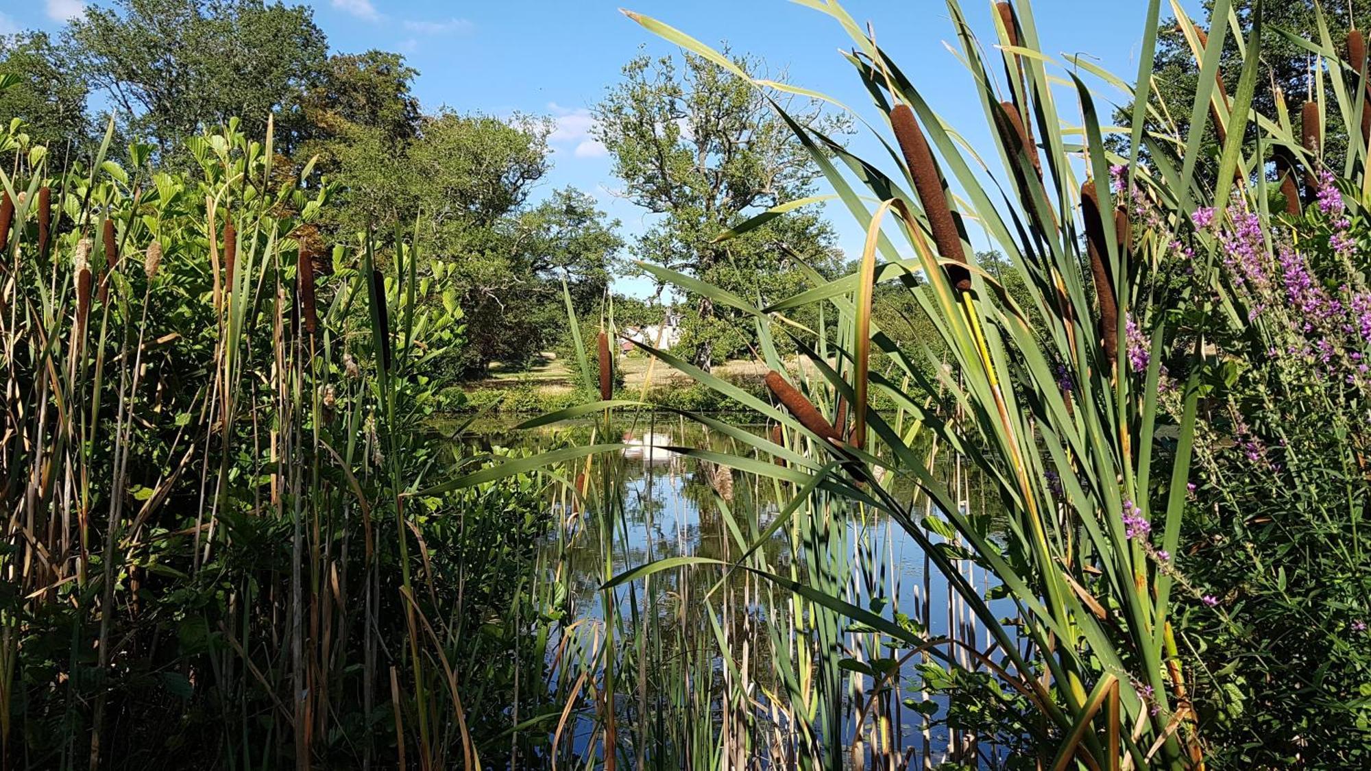 Domaine Des Roches Blanches Villa Le Pin  Luaran gambar