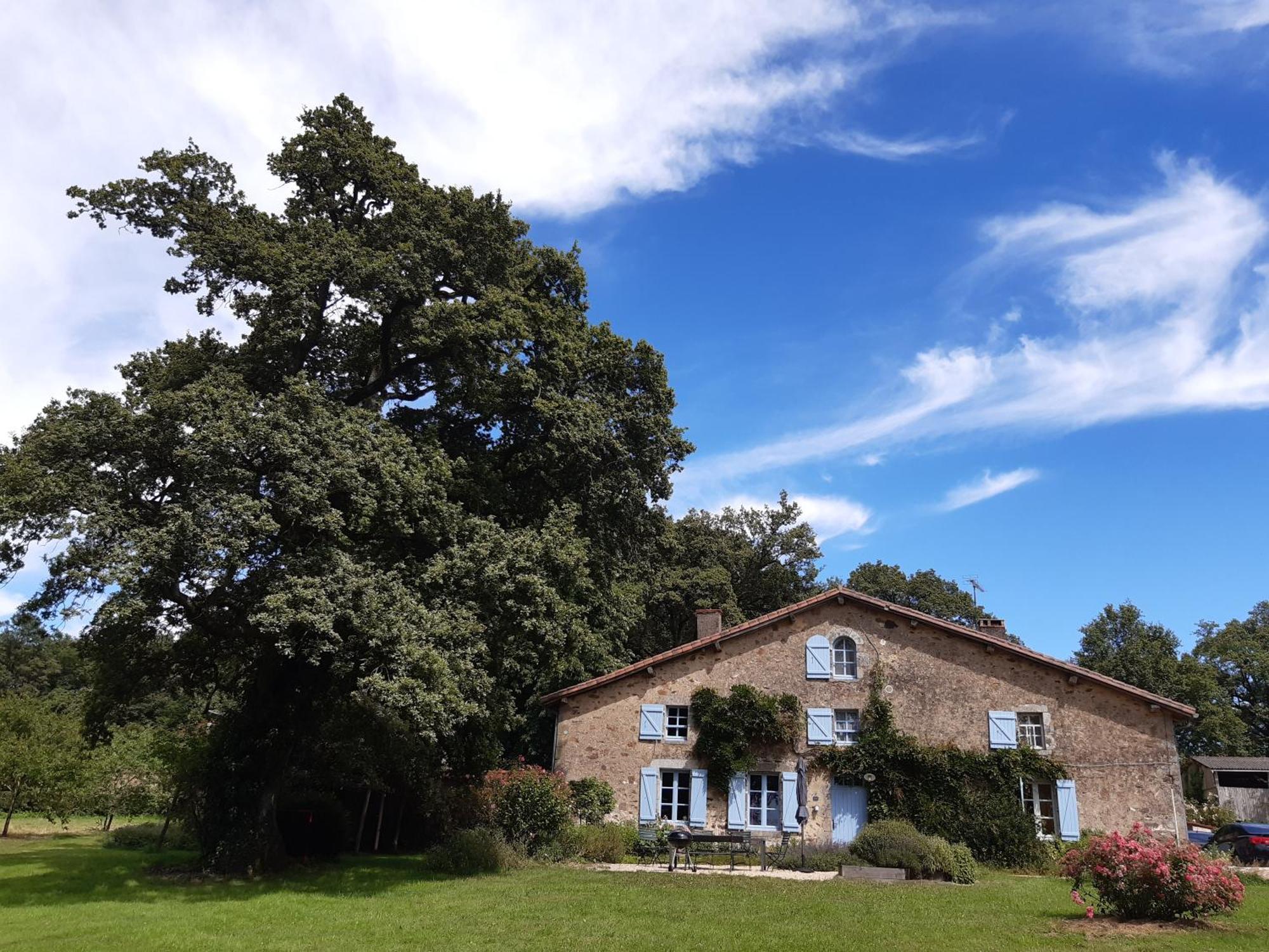 Domaine Des Roches Blanches Villa Le Pin  Luaran gambar